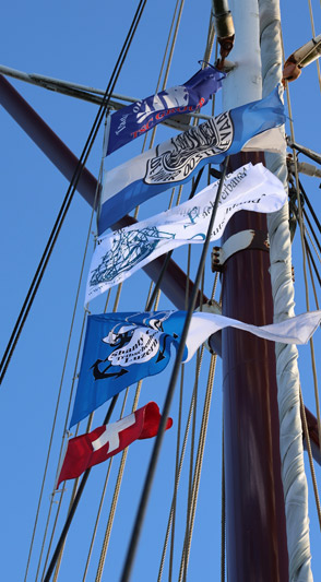 Fahne des Shanty Fachverbands gehisst - Dachverband.